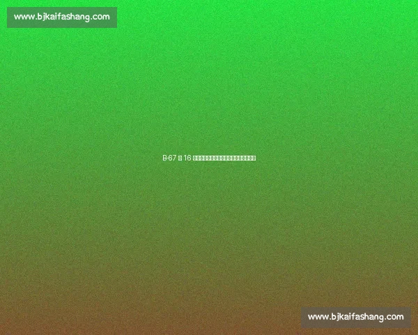 B-67 第 16 次登顶格陵兰联赛:北极圈内的绿茵传奇 B-67 第 16 次登顶格陵兰联赛:北极圈内的绿茵传奇