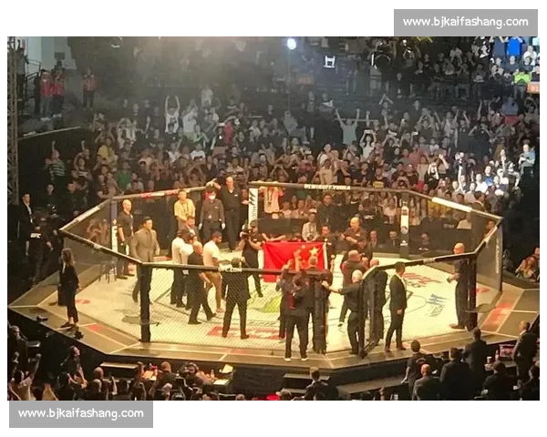 菲多巅峰对决荷兰毁灭者格斗史上最震撼一战回顾全面技术与意志较量